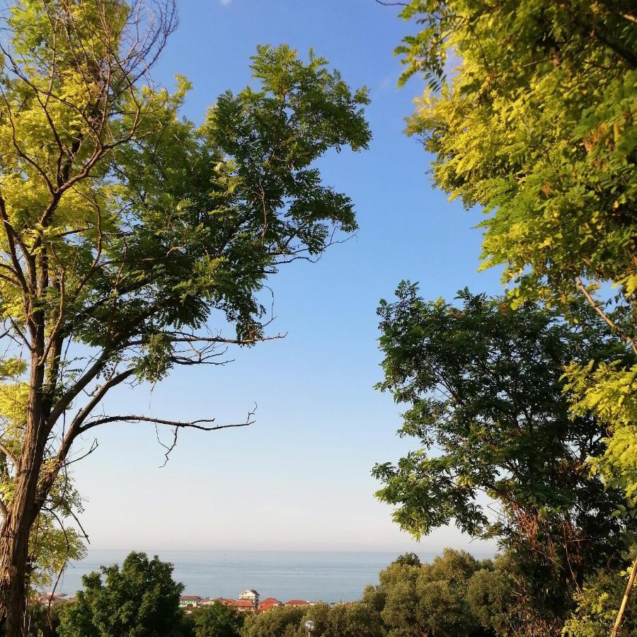 Il Magnolia Acomodação com café da manhã Francavilla Al Mare Exterior foto